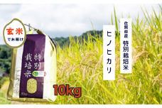 O-51 佐賀県産　特別栽培米　ヒノヒカリ10kg
