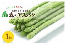 【令和7年3月より発送開始】NB-7 採れたて直送！「森のアスパラ」１kｇ　アスパラ アスパラガス 国産 佐賀県産 太良町 こだわり 新鮮 新鮮野菜 採れたて 産地直送 詰め合わせ セット 期間限定