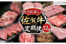 V2 佐賀牛 毎月お楽しみ便 １２回コース 定期便 12ヶ月 ローストビーフ 赤身 焼肉 ロース ステーキ ウデブロック ヒレステーキ ハンバーグ しゃぶしゃぶ すき焼き 切落し ロース ヒレ 人気 おすすめ 国産牛 和牛 ブランド牛 牛肉 肉 高級 佐賀県 太良町