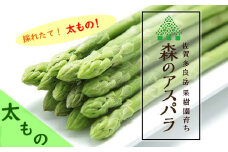 【令和7年3月より発送開始】NB-8 太もの！採れたて直送！「森のアスパラ」800ｇ アスパラ アスパラガス グリーンアスパラ 国産 佐賀県産 太良町 こだわり 新鮮野菜 採れたて 産地直送 詰め合わせ セット