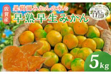 【極早生】L-8 果樹園みかんの木 果樹園みかんの木の早熟早生みかん５㎏みかん ミカン 蜜柑 温州みかん 完熟みかん 甘熟 柑橘 極早生 早生 有機栽培 国産 佐賀県産 太良町 こだわり 贈答品 産地直送 詰め合わせ