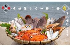 N-161 有明海からの贈り物