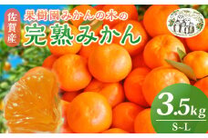 L9 果樹園みかんの木の完熟みかん 3.5kg みかん ミカン 蜜柑 温州みかん 完熟みかん 甘熟 国産 佐賀県産 太良町 こだわり 産地直送 詰め合わせ 