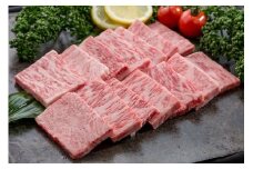 Q10 佐賀牛 カルビ焼肉 580g カルビ 焼肉 国産牛 和牛 ブランド牛 牛肉 肉 高級 人気 おすすめ 佐賀県 太良町 