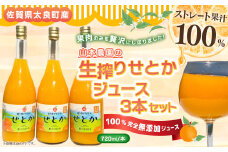 山本農園の生搾りせとか　３本セット 飲料 オレンジジュース ジュース 生搾り みかん 蜜柑 ミカン おれんじ オレンジ フルーツ 果物 くだもの ジューシー 柑橘  国産 完熟 ジューシー プレゼント 贈り物 ギフト 3本 セット 佐賀県 太良町 NC13 