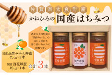 かねひろの国産はちみつ（黒酢みかん蜜、百花蜜）（３本） はちみつ 蜂蜜 ハチミツ 百花蜂蜜 黒酢みかん蜜 みかん 黒酢みかん 柑橘 ジャム みかんジャム こだわり 国産 黒酢 希少 高級感 ギフト 贈答品 セット 佐賀県 太良町 P-42 