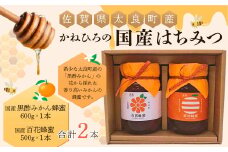 かねひろの国産はちみつ（黒酢みかん蜜、百花蜜）（２本）はちみつ 蜂蜜 ハチミツ みかん 国産 黒酢 ジャム みかんジャム 柑橘 黒酢みかん蜜 百花蜜 国産はちみつ 佐賀県産 こだわり 贈答品 ギフト 希少 セット 佐賀県 太良町  P-43 
