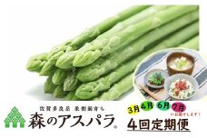 【令和7年3・4・6・7月発送】 R-23 採れたて直送！ 「森のアスパラ」 定期便 4回コース グリーンアスパラ 1.1kg 4回発送 アスパラガス アスパラ 佐賀県 太良町