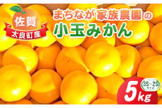 L-50 まちなが家族農園の小玉みかん　５ｋｇ　みかん ミカン 蜜柑 温州みかん 完熟みかん 甘熟 柑橘 有機栽培 国産 佐賀県産 太良町 こだわり 贈答品 産地直送 詰め合わせ 小玉