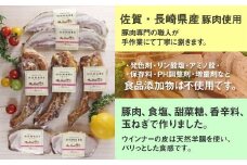 O-122 N45B  HOMARE（ほまれ）ハム・ソーセージセット ベーコンステーキ 63g 2枚 ローストハムステーキ 63g 2枚 スペアリブ 200g 3個 ローストハム ベーコン ステーキ ハム 冷凍便 冷凍品 人気 シャルキュティエ田嶋 太良町 国産