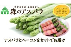 【令和7年3月より発送開始】 MA-3 朝採れ 「森のアスパラ」とこだわりのベーコンセット グリーンアスパラガス (S～Lサイズ) 500g ベーコン 100g  セット アスパラガス アスパラ 佐賀県 太良町