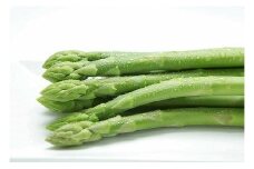 L-85 採れたて直送！ 「森のアスパラ」 800g グリーンアスパラガス (S～Mサイズ) 冷蔵 朝収穫 アスパラガス アスパラ 佐賀県 太良町