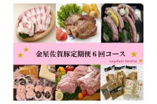 TA-2 金星佐賀豚　定期便６回コース