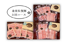 RG-1 金星佐賀豚（精肉）お楽しみ3回コース