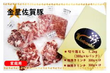 NB-18 金星佐賀豚 切り落とし(300g×3パック)・粗細ミンチ(300g×2パック) 合計1.8kg ブランド豚 豚肉 ぶた肉 ブタ肉 お肉 肉 精肉 金星佐賀豚 国産 真空パック 小分け 切り落とし ミンチ 粗挽き 細挽き 使いやすい 冷凍便 冷凍品 冷凍 太良町 佐賀