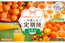 【先行予約】「果樹園みかんの木」のお楽しみ５回定期便コース　みかん ミカン 蜜柑 温州みかん 完熟みかん 甘熟 柑橘 しらぬひ でこぽん デコポン みかんジュース ストレートジュース 100％ジュース 有機栽培 国産 佐賀県産 太良町 こだわり 贈答品 産地直送 詰め合わせ 定期便 佐賀県 太良町 R37