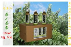 O-134 太良の桑ん葉茶 (ペットボトル) 1箱 500ml×24本 ミネラル お茶 茶 飲料 国産茶 桑の葉茶 佐賀県 太良町