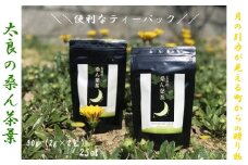 N-180 太良の桑ん葉茶 2セット 50g(2g×25包)×2 ティーパック ビタミン ミネラル 食物繊維 お茶 茶 飲料 国産茶 桑の葉茶 佐賀県 太良町
