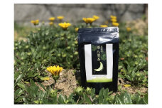 L-115 太良の桑ん葉茶 1セット 50g(2g×25包) ティーパック ビタミン ミネラル 食物繊維 お茶 茶 飲料 国産茶 桑の葉茶 佐賀県 太良町