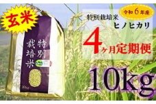 ZE-2 【4ヶ月連続お届け】佐賀県産 特別栽培米 ヒノヒカリ10kg