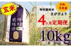 ZE-1 【4ヶ月連続お届け】佐賀県産 特別栽培米 さがびより10kg 定期便 定期 10kg × 4回 40kg 令和6年産 新米 米 コメ こめ お米 おコメ おこめ さがびより 減農薬 化学肥料未使用 佐賀県産 特別栽培 太良町 佐賀 