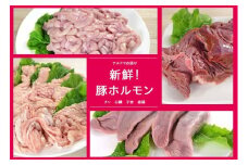 N-191 N30E 新鮮！豚ホルモン 生ブロックセット ホルモン 豚タン ブロック 1kg 豚ハツ ブロック 3個 豚仔袋 未カット 1kg 豚肉 豚テッポウ 未カット 1kg ハツ タン テッポウ ブタ肉 ぶた肉 生ブロック セット品 お肉 肉  冷蔵便 人気 シャルキュティエ田嶋 太良町 