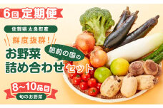 【6回定期便】鮮度抜群！肥前の国のお野菜詰め合わせセット（8～10品目） 野菜セット 詰め合わせ 野菜詰め合わせ 野菜盛り合わせ 野菜ミックス 野菜ギフト 野菜 旬のお野菜 旬のくだもの 採れたて 新鮮野菜 常備菜 国産 佐賀県産 こだわり 産地直送 定期便 佐賀県 太良町 Q-49 
