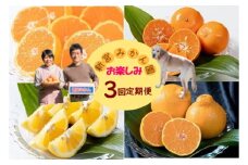 Q-51 新宮みかん園のお楽しみ定期便　３回コース