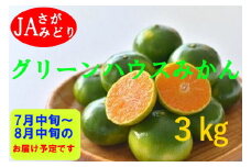 O-150 すっきり爽やか！！グリーンハウスみかん ３ｋｇ みかん ミカン 蜜柑 フルーツ くだもの 果物 ミネラル豊富 太良町 国産 贈答用