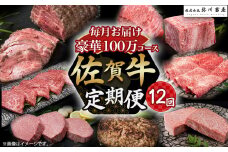 ZAF1 佐賀牛 毎月 豪華12回便 100万コース 定期便 12回 12ヶ月 しゃぶしゃぶ ロースステーキ ローストビーフ カルビ焼肉 ハンバーグ 赤身焼肉 ヒレステーキ ロースブロック モモブロック すき焼き ロース ステーキ カルビ 焼肉 赤身 焼肉 モモ ブロック 国産牛 和牛 牛肉 肉 高級 人気 おすすめ 佐賀県 太良町 