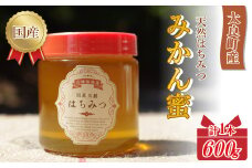 N-225 太良町産はちみつ【みかん蜜600g】 600g 江頭(勇)養蜂場 （日本養蜂協会 会員） 太良町 有明海 国産 国産はちみつ 天然はちみつ みかん蜜 ハチミツ 蜂蜜 柑橘のさっぱりとした香り サラサラ クセがない 日本養蜂協会の基準を満たした 