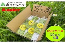 L-147 BABYサイズ 森のアスパラ 120g×4袋 朝採れ 根元部分カット済 冷蔵 すぐに食べられる アスパラガス アスパラ 佐賀県 太良町