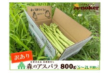 LA-1 味はそのまま訳あり 森のアスパラ 800g (料理王国100選入賞 2021) アスパラ アスパラガス 規格外品 訳あり 佐賀県 太良町