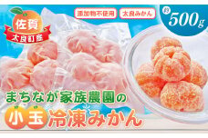 LA-2 まちなが家族農園の小玉冷凍みかん　約500ｇ 小玉冷凍みかん 小玉冷凍ミカン 小玉冷凍蜜柑 冷凍みかん 冷凍ミカン 冷凍蜜柑 小玉みかん 小玉ミカン 小玉蜜柑  みかん ミカン 蜜柑 フルーツ くだもの 果物 ミネラル豊富 太良町 国産 冷凍 贈答用