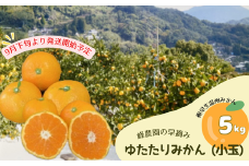 LB-4　峰農園の早摘みゆたたりみかん 小玉5kg 温州 みかん ミカン 蜜柑 温州蜜柑 温州ミカン フルーツ くだもの 果物 ミネラル豊富 太良町 国産 さがみかん 太良みかん 美味しい 多良岳山系の水 有明海の潮風 贈答用 お中元 お歳暮 産地直送 月の引力が見える町 ふるさと納税 返礼品