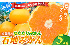 峰農園のゆたたりみかん【石地みかん】5kg フルーツ 果物 くだもの 柑橘 みかん さがみかん 太良みかん 温州みかん 美味しい 希少品種 石地みかん 中生温州みかん ミネラル豊富 多良岳山系の水 有明海の潮風 贈答用 お中元 お歳暮 産地直送 佐賀県 太良町 M87