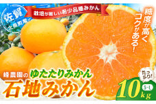 峰農園のゆたたりみかん【石地みかん】10kg フルーツ 果物 くだもの 柑橘 みかん ミカン 蜜柑 たらみかん 太良みかん 温州みかん 完熟みかん 希少品種 石地みかん 甘熟 早熟 ミネラル豊富 多良岳山系の水 有明海の潮風 国産 こだわり 有機栽培 産地直送 贈答品 お中元 お歳暮 詰め合わせ 極甘 佐賀県 太良町 NB14