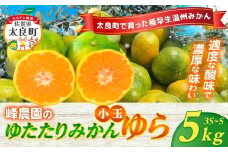 LB-5 峰農園のゆたたりみかん【ゆら】小玉 5kg 極早生温州みかん 早生温州みかん 早生 温州 みかん さがみかん 太良みかん 温州みかん ミカン 蜜柑 温州蜜柑 温州ミカン フルーツ くだもの 果物 美味しい ミネラル豊富 多良岳山系の水 有明海の潮風 贈答用 お中元 お歳暮 産地直送 月の引力が見える町 太良町 ふるさと納税 返礼品