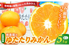 峰農園のゆたたりみかん  5kg 温州 みかん ミカン 蜜柑 温州蜜柑 温州ミカン フルーツ くだもの 果物 ミネラル豊富 国産 産地直送 贈答用 お中元 お歳暮 月の引力が見える町 太良町 ふるさと納税 返礼品 さがみかん 太良みかん 美味しい 多良岳山系の水 有明海の潮風 佐賀県 太良町 N253