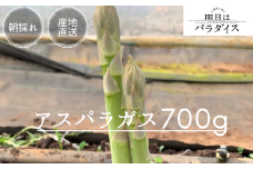 N-244 朝採れアスパラガス700ｇ 朝採れ即発送「明日はパラダイス」 アスパラ アスパラガス 700g シャキシャキ 食感 グリーンアスパラガス 新鮮 産地直送 野菜 冷蔵 みずみずしい 朝とれ 朝採れ 生野菜 太良町 佐賀