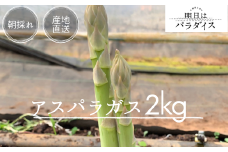 P-113 朝採れアスパラガス2kg 朝採れ即発送「明日はパラダイス」