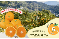 M-94　峰農園の早摘みゆたたりみかん 5kg 極早生温州みかん 早生温州みかん 早生 温州 みかん 早熟 早摘み グリーン ミカン 蜜柑 温州蜜柑 温州ミカン フルーツ くだもの 果物 ミネラル豊富 月の引力が見える町 太良町 国産  ふるさと納税 返礼品 さがみかん 太良みかん  温州みかん  美味しい ミネラル豊富 多良岳山系の水 有明海の潮風 贈答用 お中元 お歳暮 産地直送