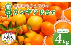 M103 果樹園みかんの木の旬のカンキツ詰合せ　約4kg 4～5種類 みかん 詰め合わせ 柑橘類 柑橘 いよかん ポンカン みかん フルーツ くだもの 果物 佐賀県 太良町