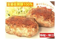OA-6 金星佐賀豚　ハンバーグ150g 　10個セット