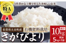【令和７年度先行予約】牟田農園のさがびより（５㎏×２袋）＜精米＞ 新米 米 さがびより 牟田農園 佐賀県 太良町 P114