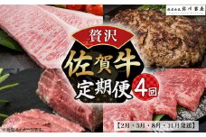 佐賀牛 贅沢！4回定期便【2月・5月・8月・11月発送】佐賀牛 ハンバーグ ローストビーフ サーロイン 佐賀県 太良町 SE1