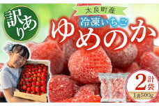 訳あり！太良町産「ゆめのか」冷凍いちご500ｇ×２袋 佐賀県 太良町 MA15