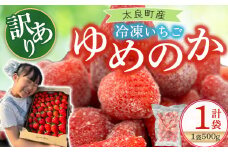 訳あり！太良町産「ゆめのか」冷凍いちご500ｇ×１袋 佐賀県 太良町 LB21