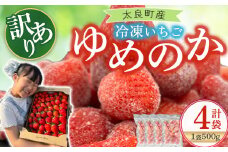 訳あり！太良町産「ゆめのか」冷凍いちご500ｇ×４袋 佐賀県 太良町 NB45