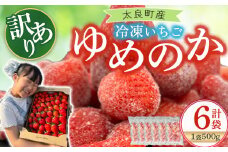 訳あり！太良町産「ゆめのか」冷凍いちご500ｇ×６袋 佐賀県 太良町 OA9